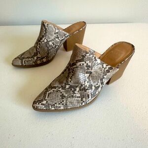 Women’s 8.5 Kaari‎ Blue Gray Snakeskin Heeled Mules